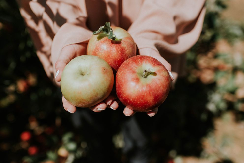 Una persona sosteniendo tres manzanas entre sus manos. | Foto: Unsplash