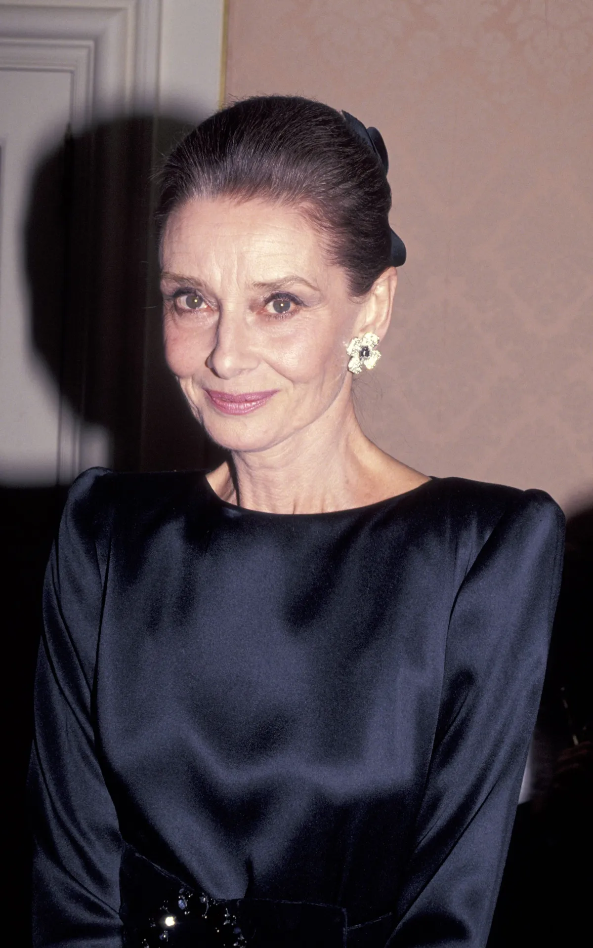 Audrey Hepburn at ASPCA 125th Anniversary Gala on November 11, 1991 | Photo: Getty Images