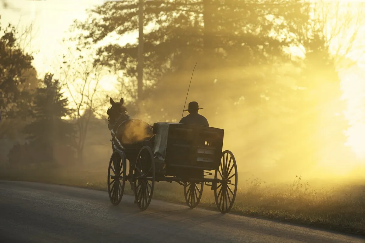 Un homme chevauchant une voiture sur la route. | Photo : Unsplash/Randy Fath