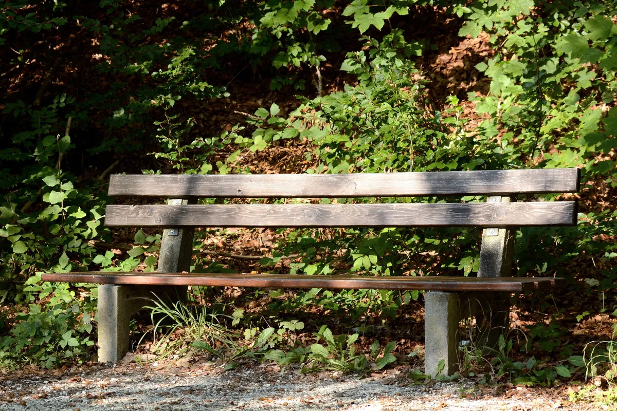Linda et Laura ont trouvé un banc à proximité | Source : Pexels