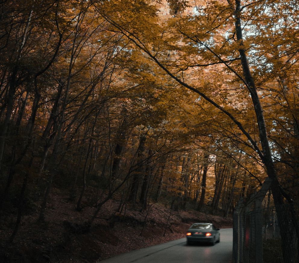 Imagen con fines ilustrativos. | Foto: Unsplash