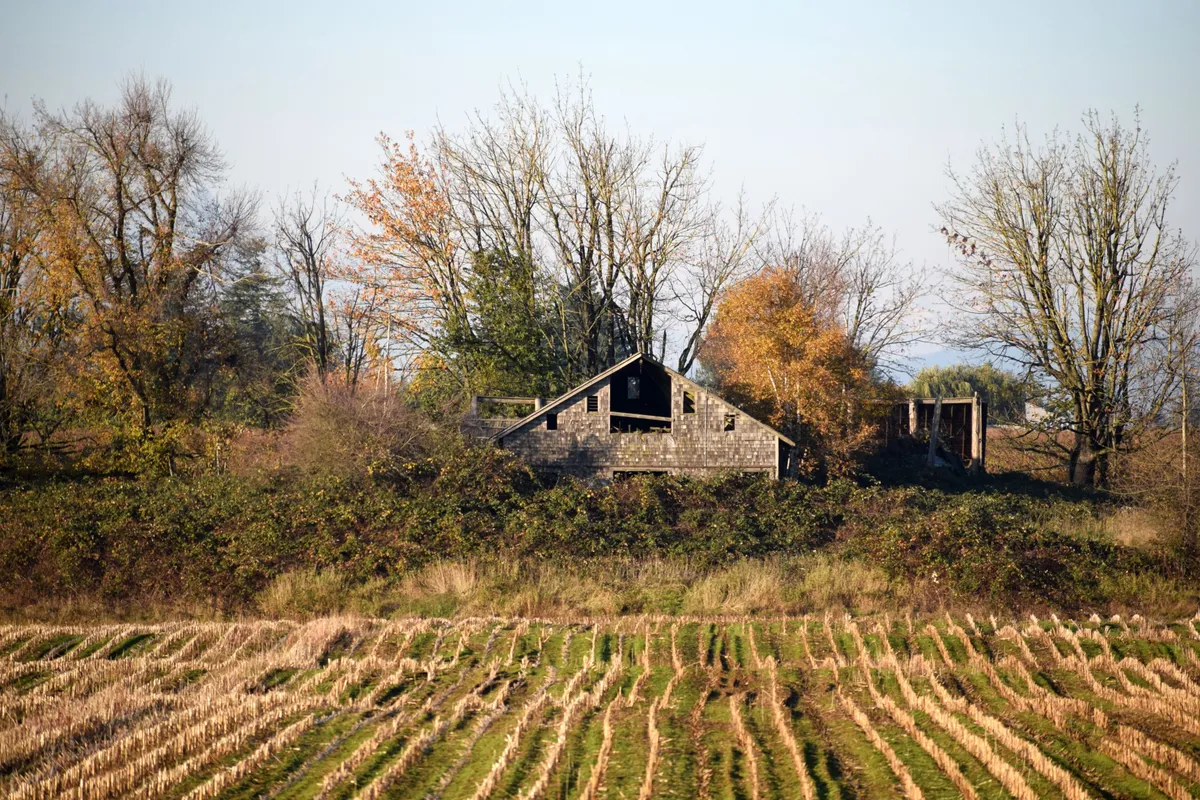 Brown wooden house | Source: Unsplash