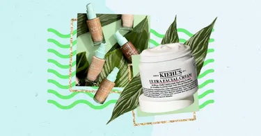 10 Makeup Essentials For Beginners