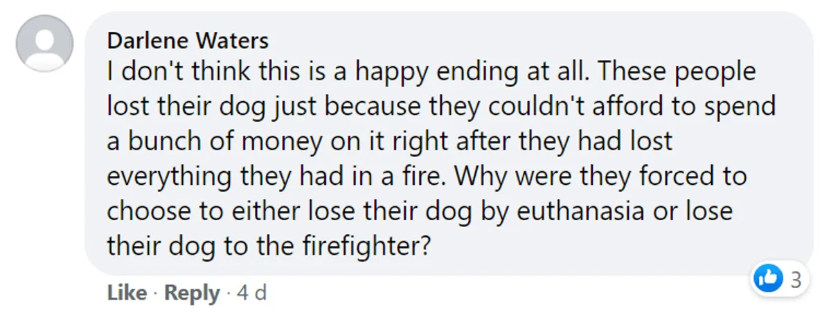 A 16-month-dog seriously burned was 'resurrect' by a hero firefighter 5 A 16-month-dog seriously burned was 'resurrect' by a hero firefighter 5