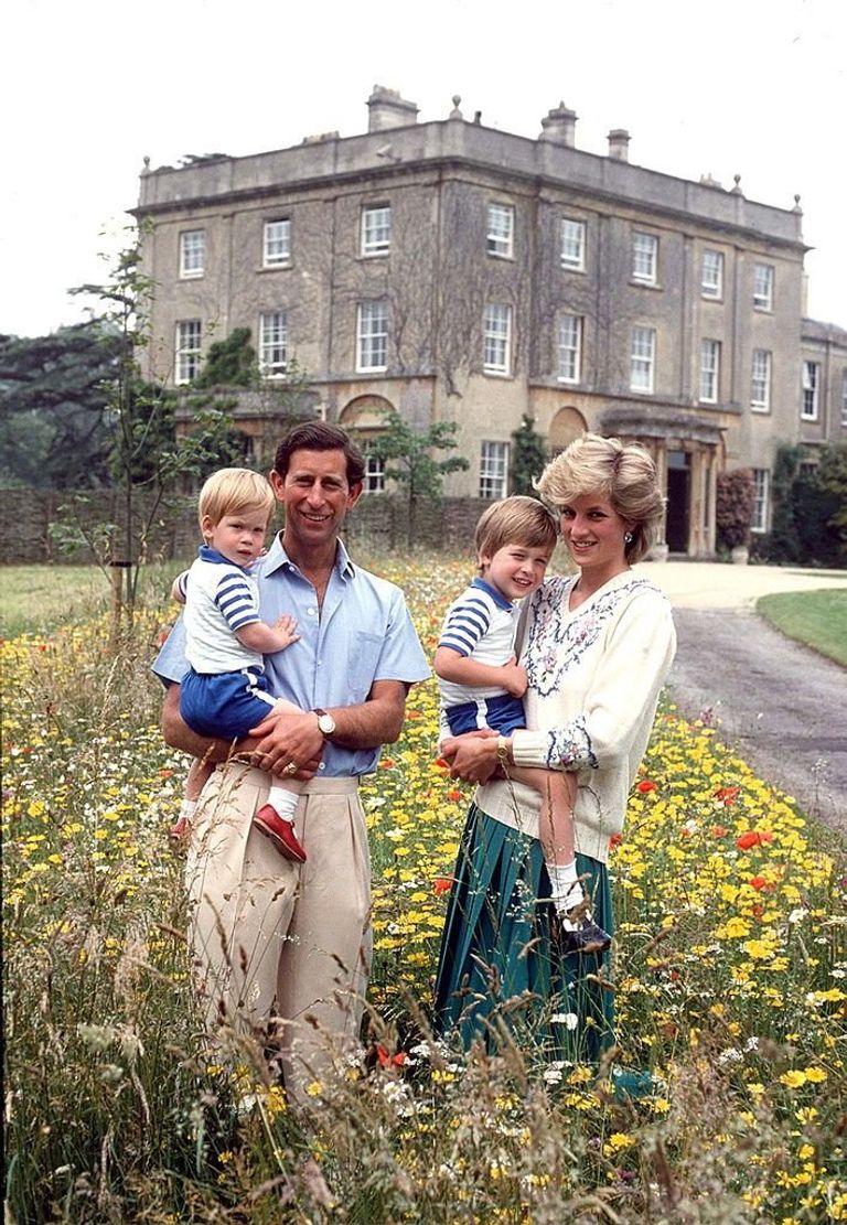 El príncipe y la princesa de Gales con el príncipe William y el príncipe Harry en el prado de flores silvestres en Highgrove. | Foto: Getty Images