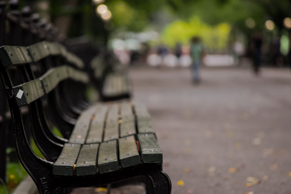 Banquillos vacíos en un parque. | Foto: Pexels