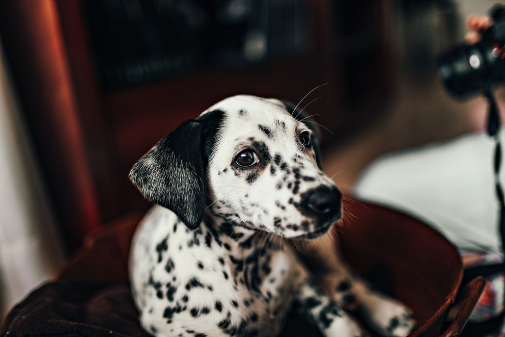 Imagen con fines ilustrativos. | Foto: Pexels