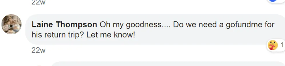 Commentaire d'un internaute sur l'histoire d'une fille qui a retrouvé son ours en peluche. | Photo : facebook.com/addie.pascal