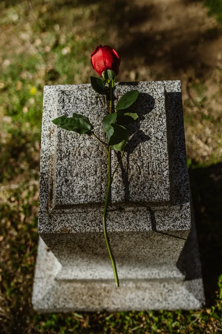 Une rose rouge placée sur une pierre tombale. | Photo : Pexels