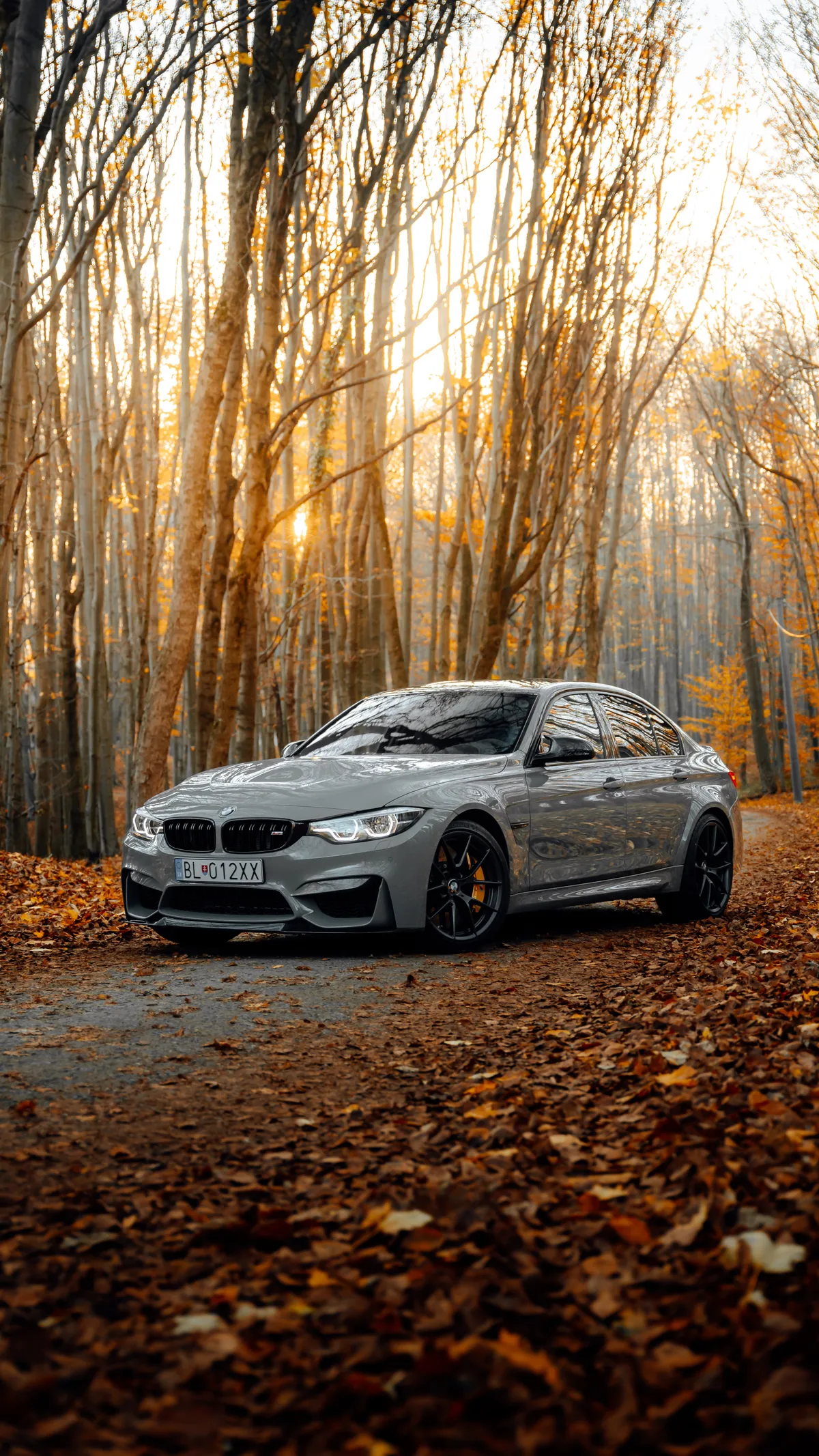 Une voiture. | Photo : Unsplash