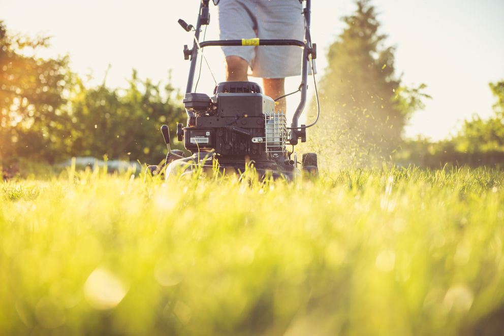 Una persona podando el césped. | Foto: Pexels