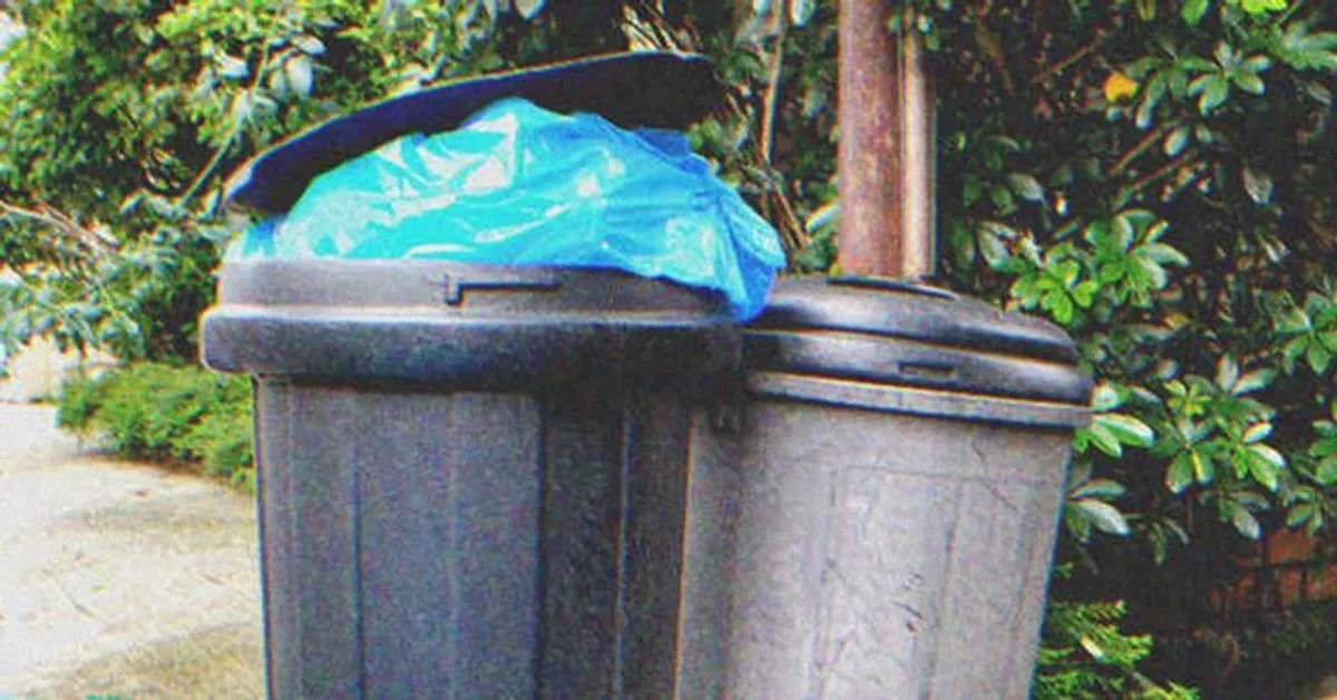 Botes llenos de basura en una calle. | Foto: Shutterstock