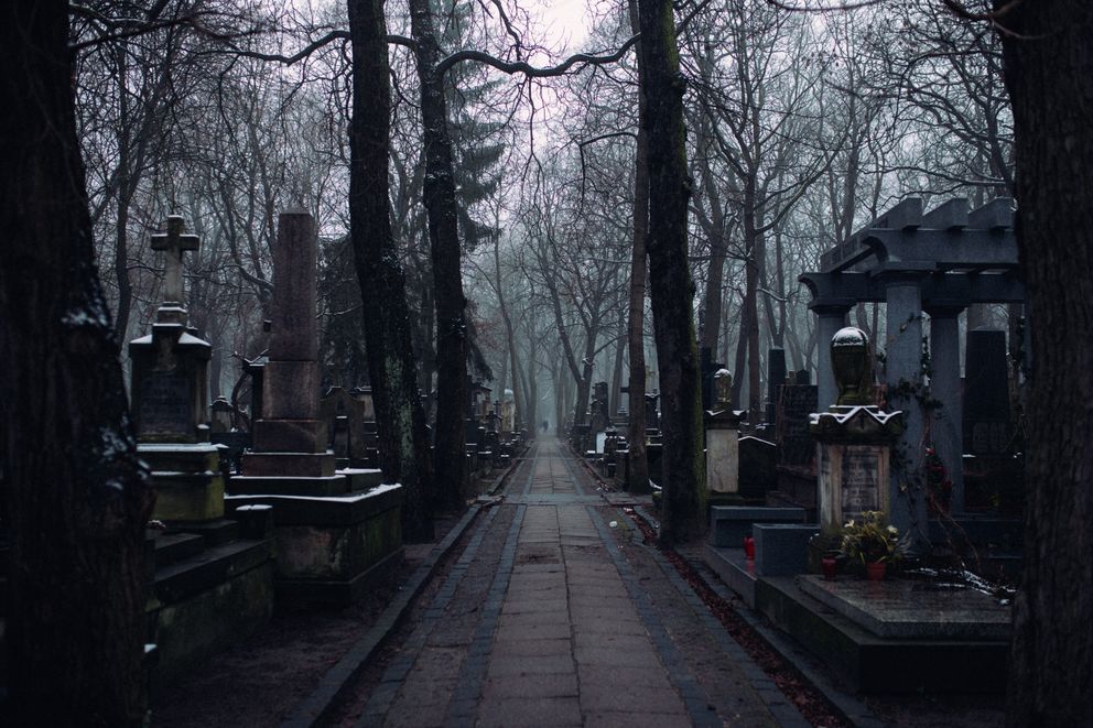 Imagen con fines ilustrativos. | Foto: Pexels