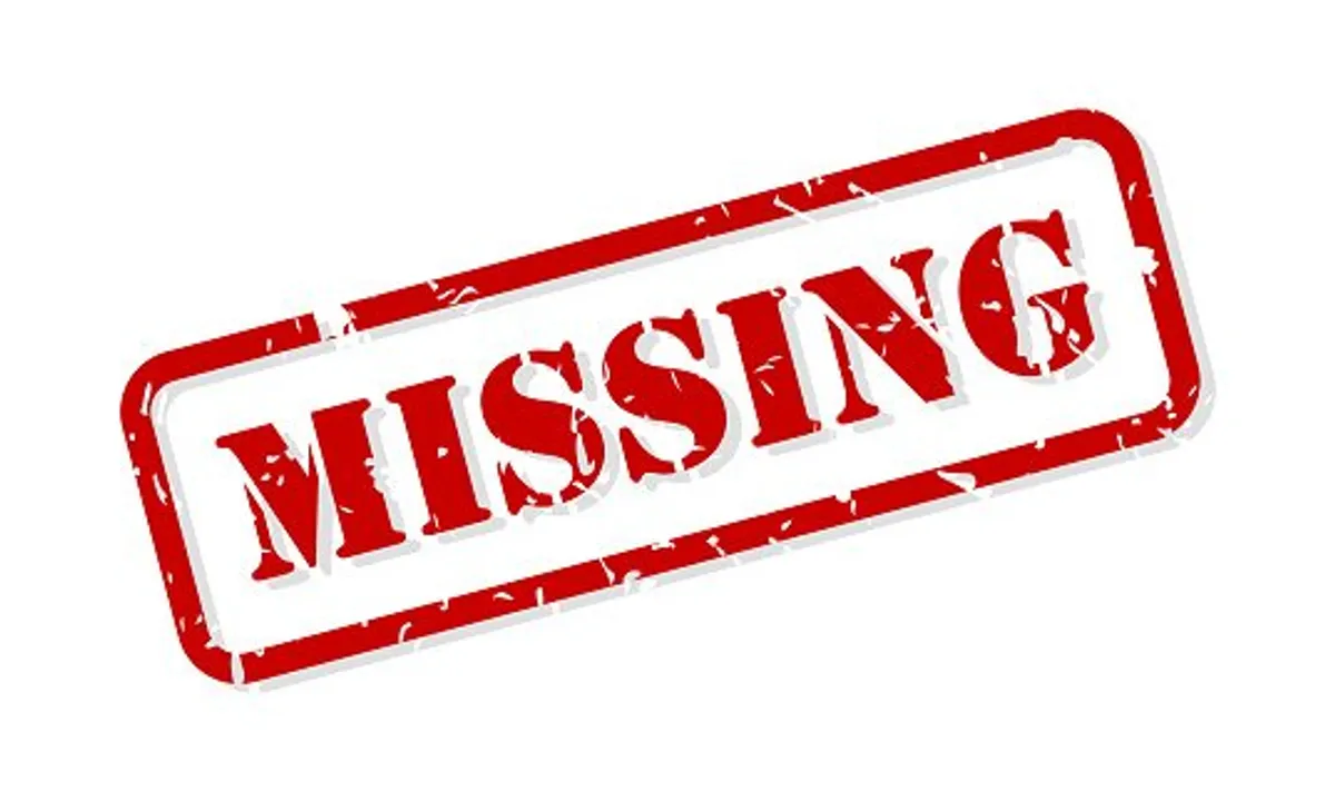 Missing Rubber Stamp Vector | Photo: Getty Images