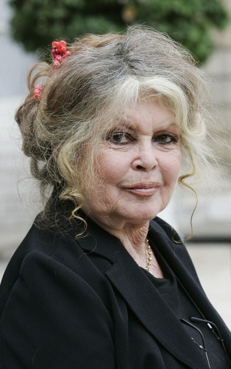 Brigitte Bardot en France en 2007. | Source : Getty Images