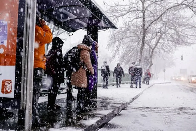 Personas en una parada de autobús bajo una nevada. | Foto: Pexels