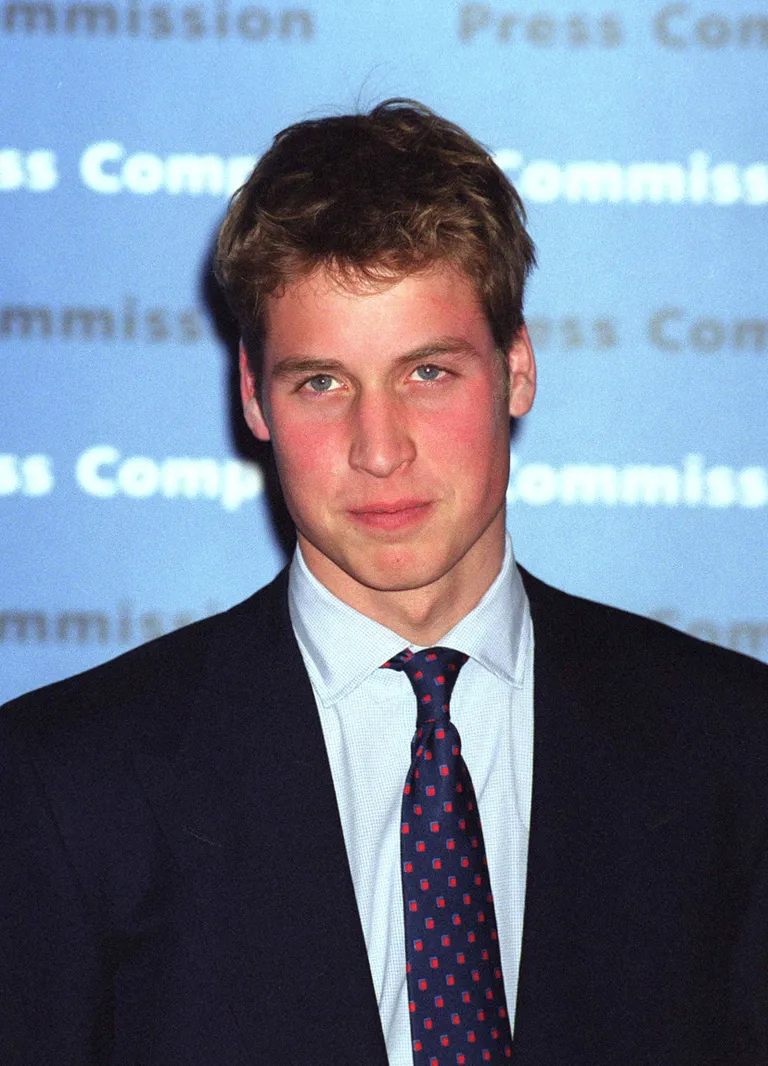 Le prince William assiste à la réception organisée à l'occasion du 10e anniversaire de la Commission des plaintes contre la presse, à la Somerset House de Londres, le 7 février 2001, à Londres, en Angleterre. | Source : Getty Images