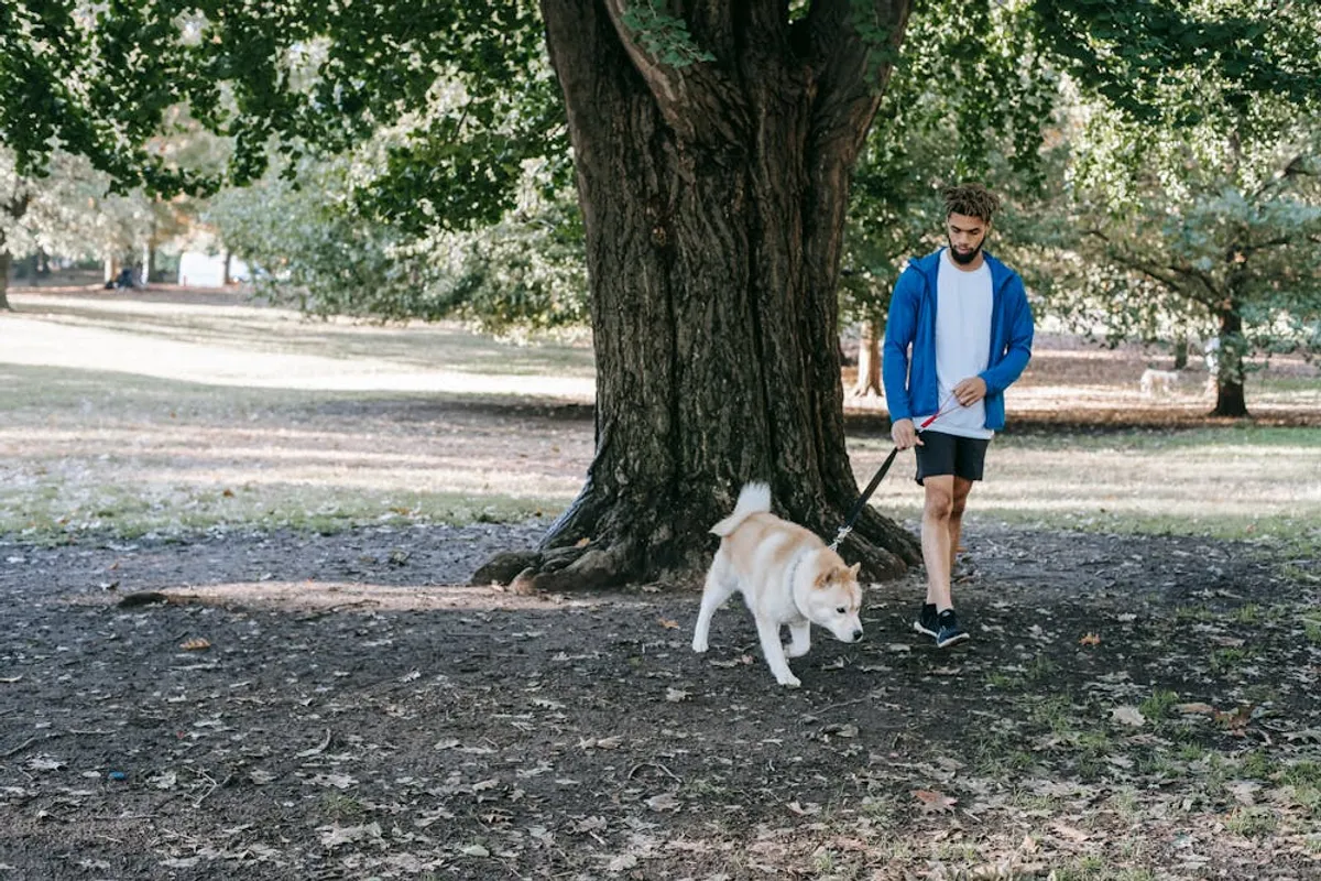 A man walking with his dog in the park. | Photo: Pexels