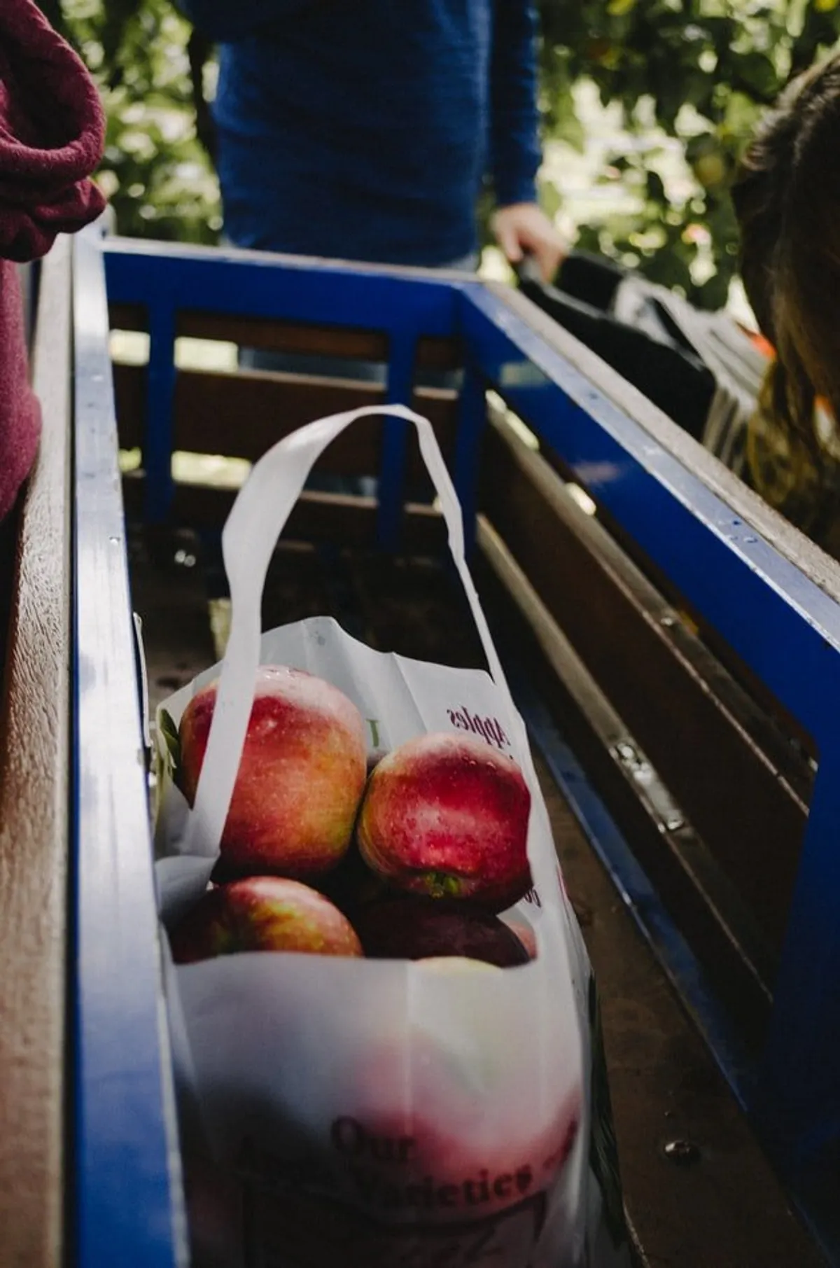 Bolsa con frutas. | Foto: Unsplash
