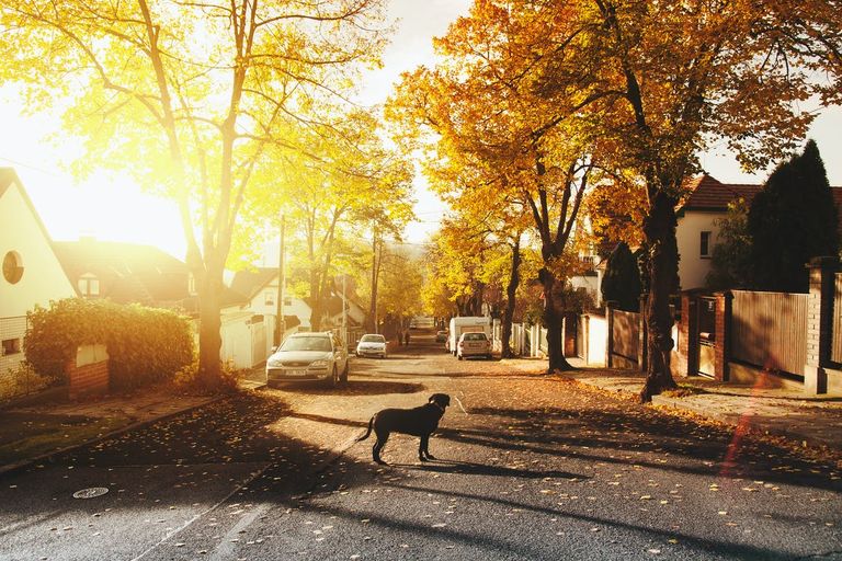 Imagen con fines ilustrativos. | Foto: Pexels
