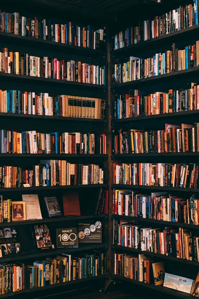 Una biblioteca repleta de libros. | Foto: Pexels