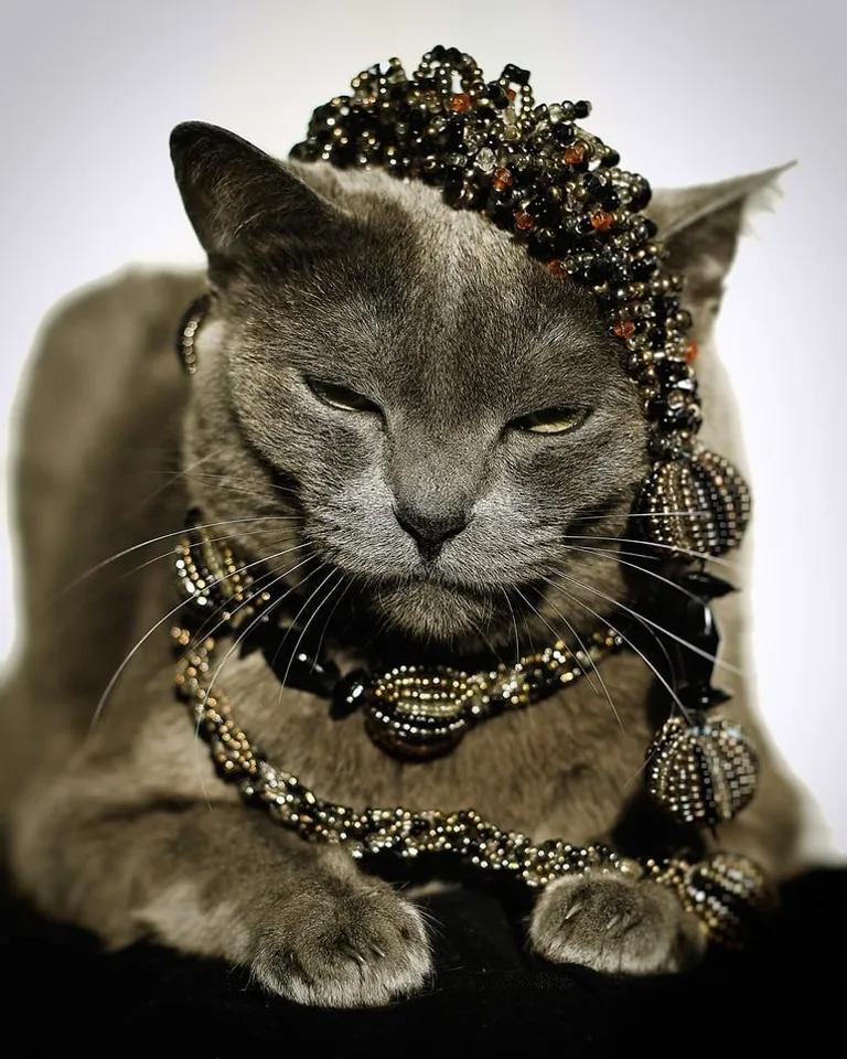 Thanks to his cat, Joseph found jewelry in the old sofa.  |  Source: Unsplash