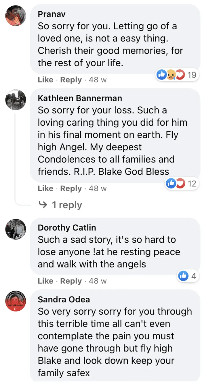 Des internautes laissent des commentaires sur le post de Newsner concernant la mort de Blake Ward. | Photo : facebook.com/newsnercom