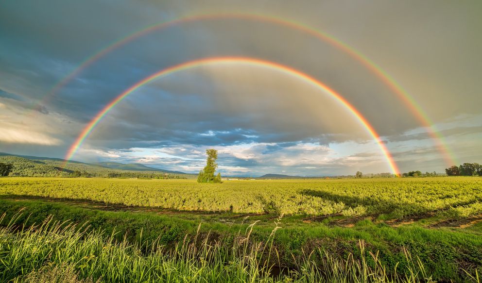 Imagen con fines ilustrativos. | Foto: Pexels