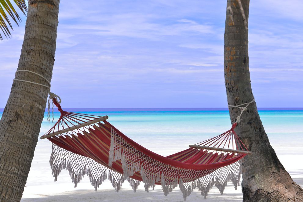 Imagen con fines ilustrativos. | Foto: Pexels