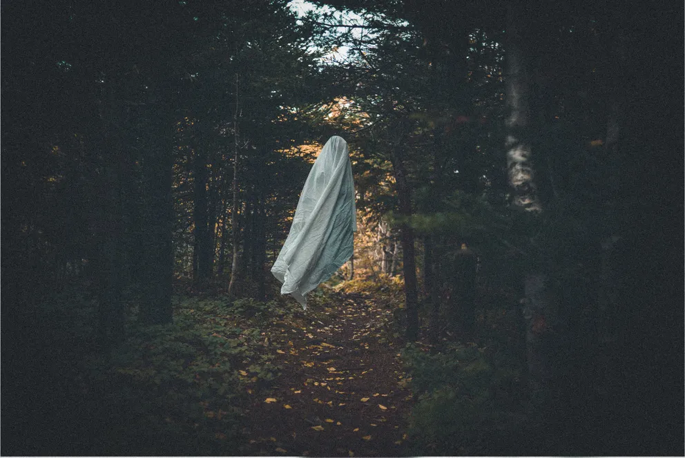 Una figura envuelta en una manta blanca flotando en medio del bosque. | Foto: Pexels