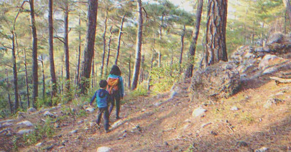 Dos niños solos caminando por un bosque. | Foto: Shutterstock