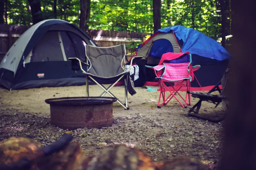 Campamento con carpas en medio del bosque. | Foto: Pexels