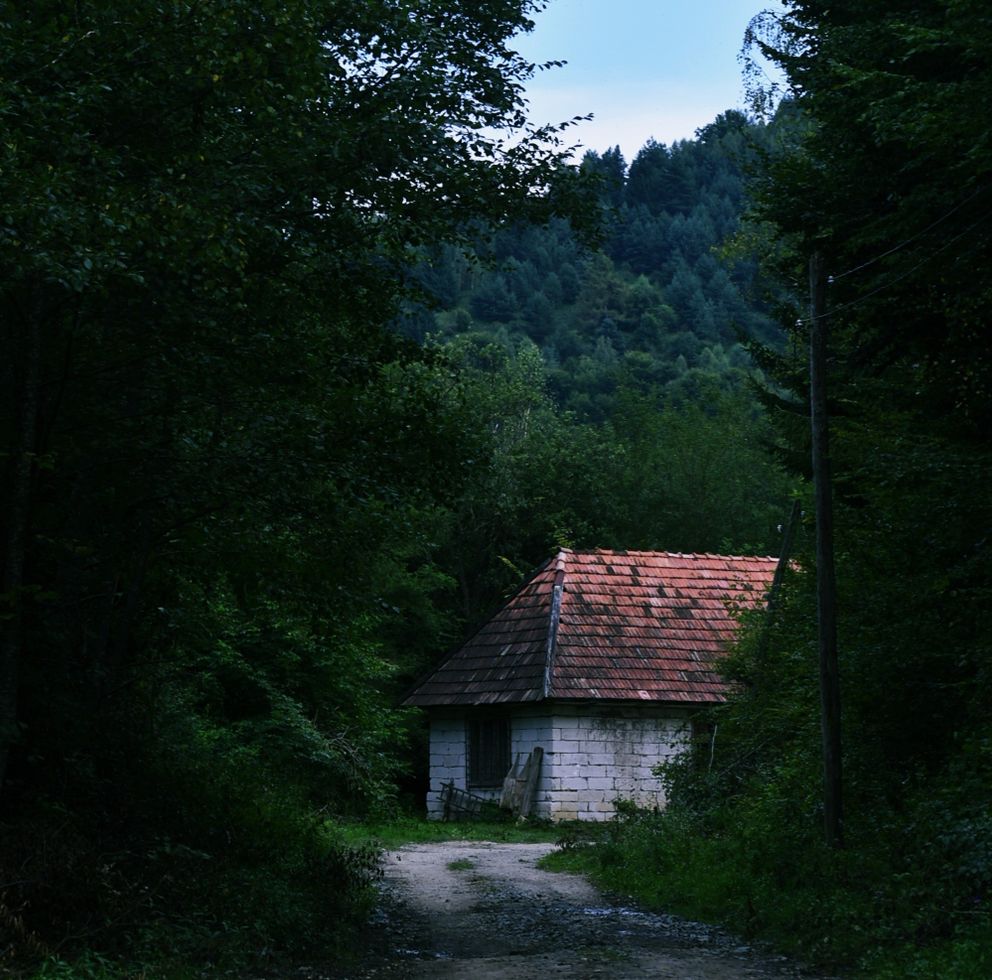 Una pequeña casa en medio de un bosque. | Foto: Pexels